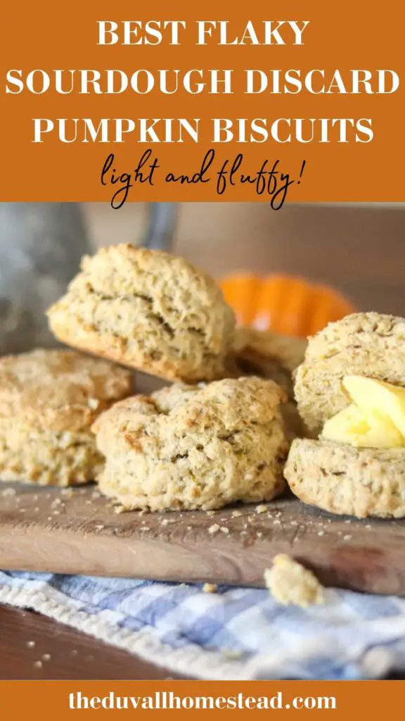 These flaky sourdough discard pumpkin biscuits are sure to warm the heart on a cold fall day. Serve with farm fresh butter for a cozy fall breakfast.

#sourdoughdiscard #flakybiscuits #pumpkin #biscuits #flaky #fluffy #easy #discard #recipe #breakfast
