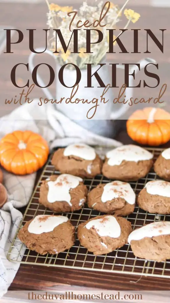 This recipe for iced pumpkin cookies with sourdough discard has delicious notes of nutmeg and cinnamon, and is loaded with fresh pumpkin. Top with homemade cream cheese frosting for a delicious and festive holiday dessert idea.