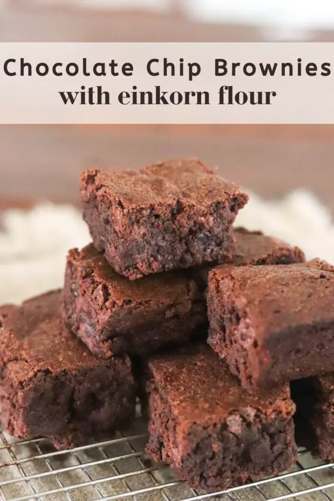 On a cold winter night, after a day of sledding and playing out in the snow, there’s nothing better than coming home to warm chocolatey brownies. These einkorn brownies are gooey and sprinkled with chocolate chips and powdered sugar. They are a magical, decadent winter dessert for the whole family.