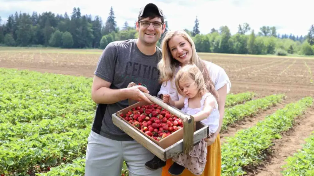 family with a flat of hand picked strawberries in a strawberry field