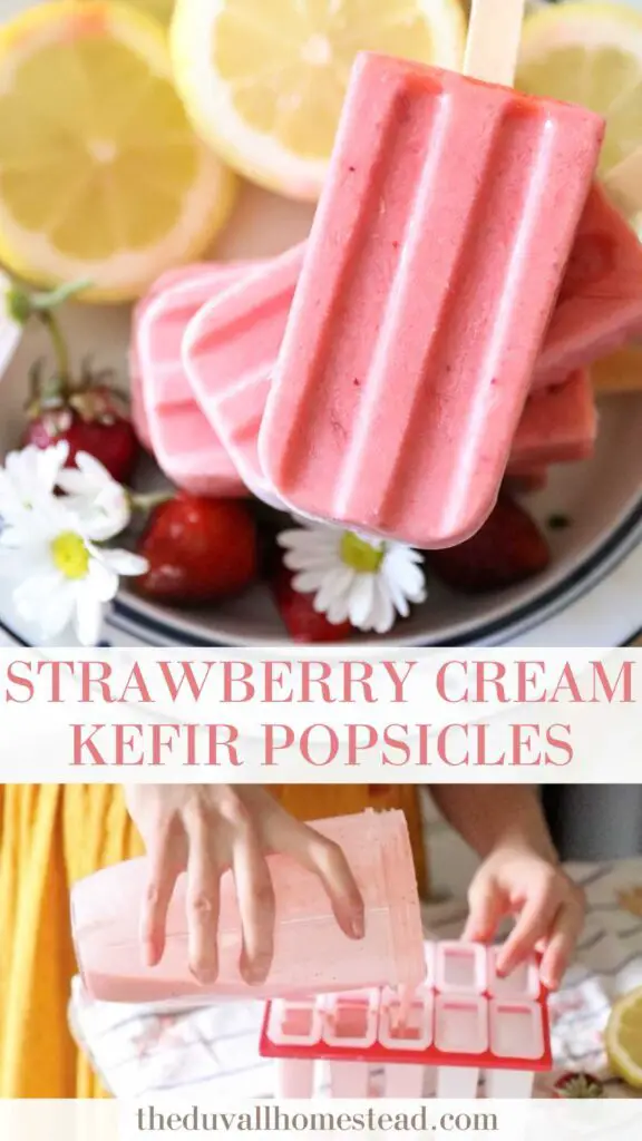 These strawberry cream kefir popsicles are perfect for toddlers, teething babies, and anyone else really. I love making healthy dessert recipes at the homestead using ingredients like kefir, with honey as a natural sweetener. Learn how to make homemade kefir popsicles with fresh strawberries to enjoy during the hot days of summer.