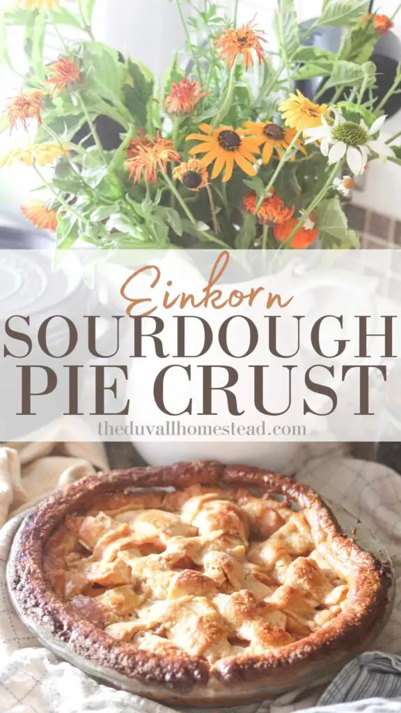 This einkorn sourdough pie crust is long fermented, and yields a buttery, flaky pie crust that melts in your mouth. I love making this pie crust especially because it uses my sourdough starter and einkorn flour, so I know I’m getting fermented benefits while using a strong, healthy grain.