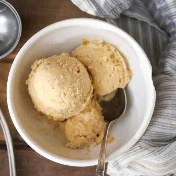 a bowl of pumpkin ice cream with an ice cream scoop