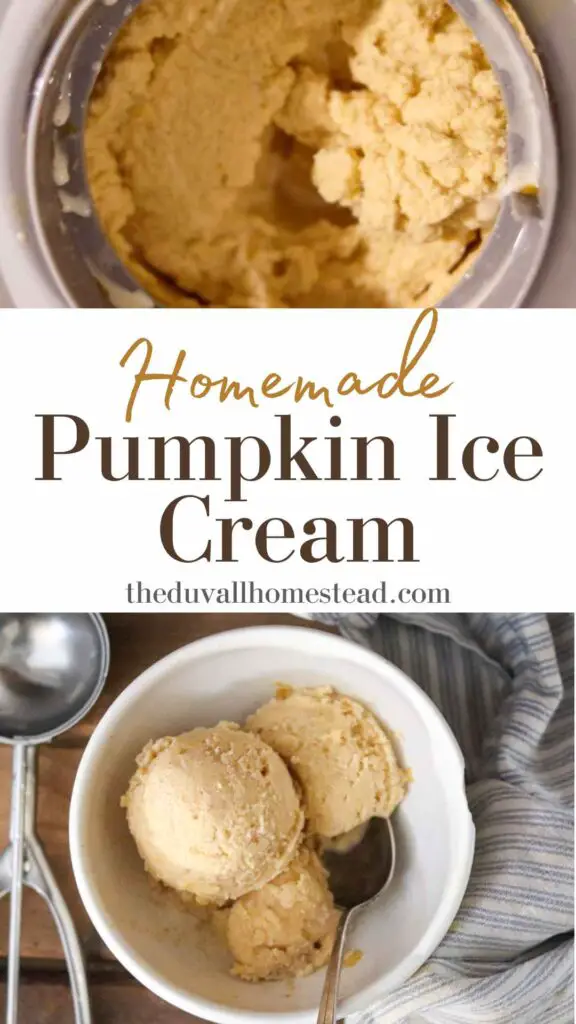 This homemade pumpkin ice cream is the ultimate fall dessert! With fresh cream, real pumpkin, and maple syrup, this ice cream is nutritious and decadent. 