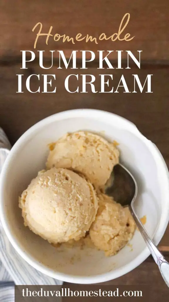 This homemade pumpkin ice cream is the perfect creamy dessert for fall! Made with fresh cream and egg yolks and sweetened naturally with maple syrup, this is a nourishing and healthy treat. 