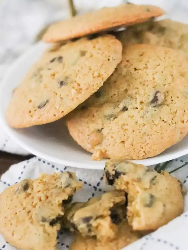 sourdough-discard-chocolate-chip-cookies-with-einkorn-flour(640 x 853 px)