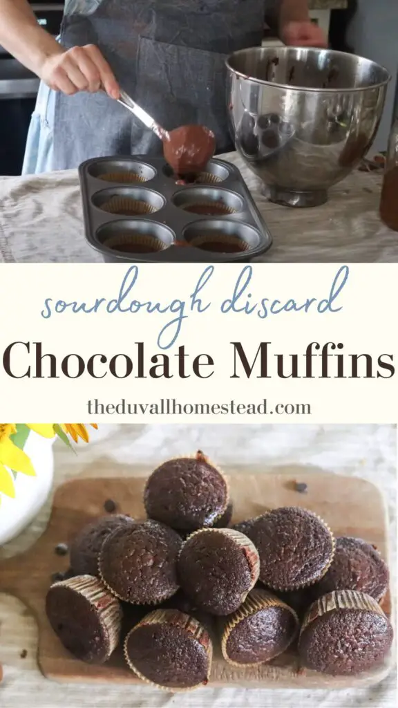 These sourdough discard chocolate muffins are packed with protein and very nutritious! The perfect snack with einkorn flour and sourdough discard, your family will love these and so will you.