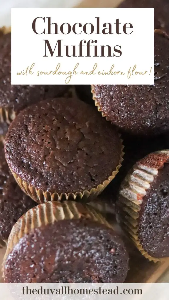 These sourdough discard chocolate muffins are a nutritious snack or breakfast! Made with einkorn flour and whole food ingredients, you'll want to keep a batch of these muffins on hand at all times.