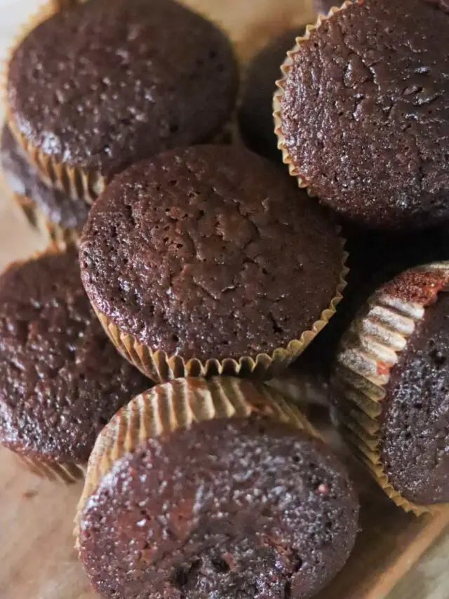 Sourdough Discard Chocolate Muffins