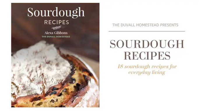 sourdough recipes ebook