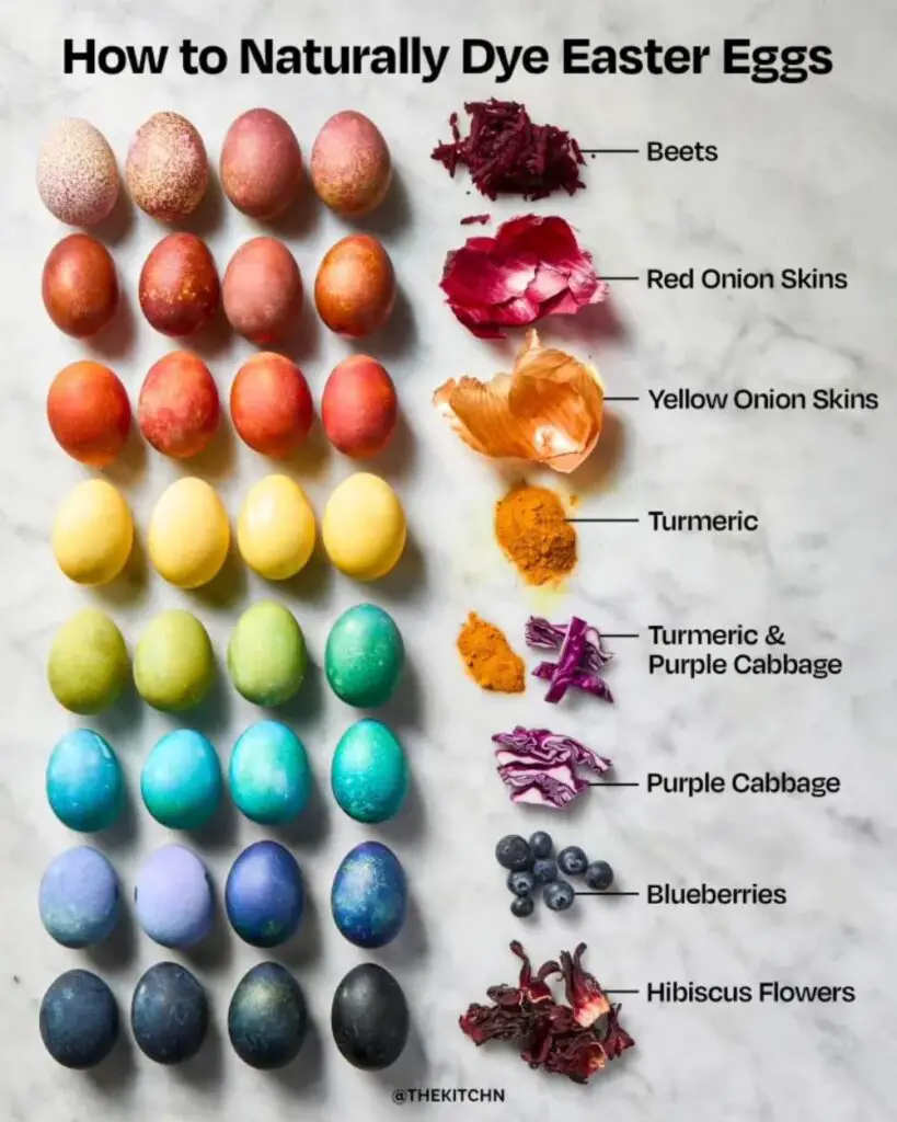 Examples of different natural easter egg dyes with food scraps