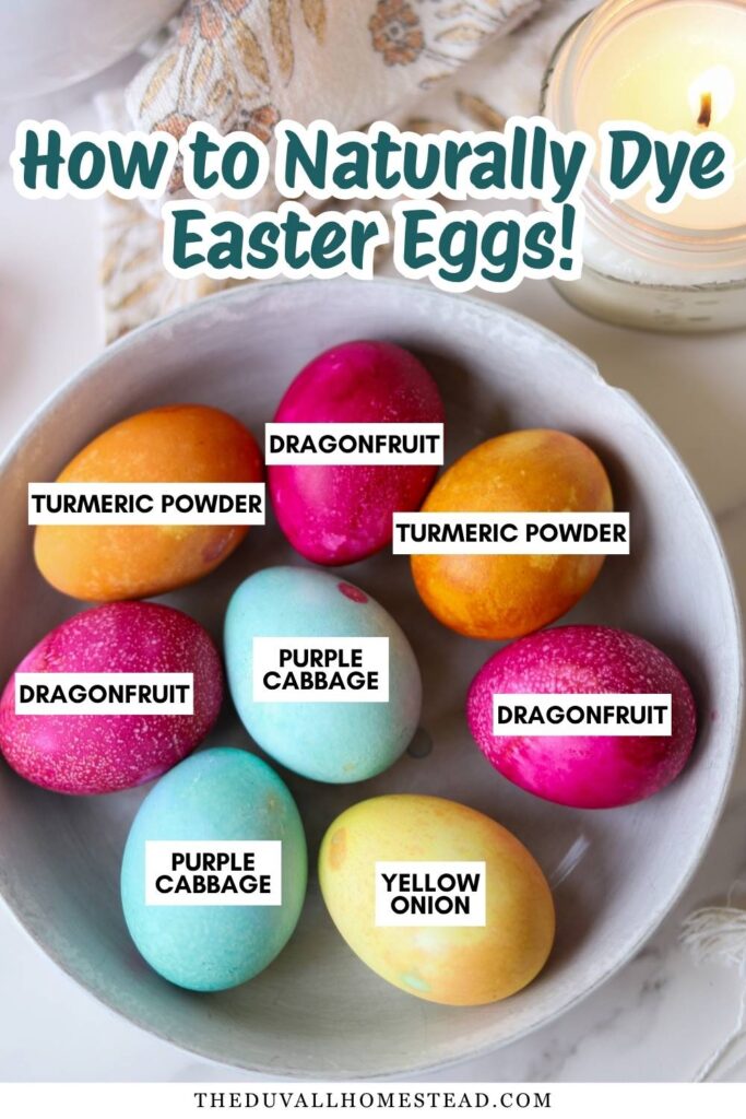 Create gorgeous naturally dyed Easter eggs using this easy DIY natural Easter egg dye method. Made with pantry staples like turmeric, cabbage, and onion skins, these eggs have a soft, vintage look perfect for spring decorating. This natural egg dye tutorial is great for kids activities, eco friendly holidays, and non toxic Easter traditions. A simple, from scratch way to make Easter eggs at home.