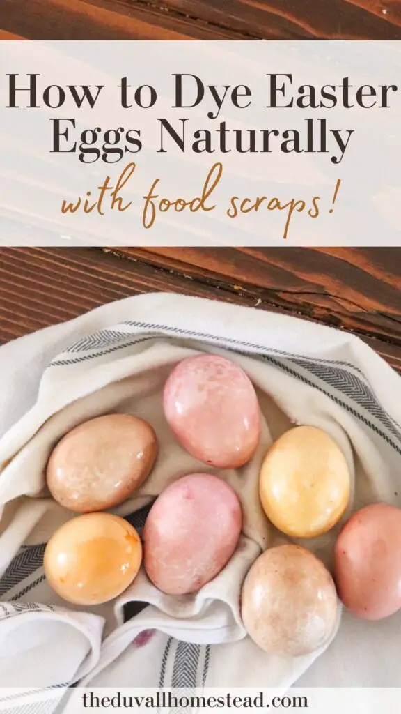 Dye your own Easter Eggs with homemade, natural dye! This project is a great way to put food scraps to good use and it makes beautiful eggs without the artificial dye.
