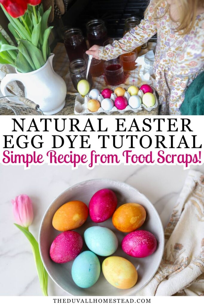 These naturally dyed Easter eggs are made using simple ingredients like red cabbage, turmeric, and onion skins for beautiful, soft colors without artificial dyes. This natural Easter egg dye tutorial is perfect for families looking for a non toxic, eco friendly way to celebrate. Learn how to make DIY Easter egg dye using food scraps and create stunning pastel eggs for your Easter table, spring decor, or kids activities.