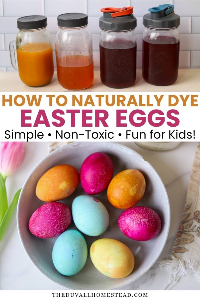 Create gorgeous naturally dyed Easter eggs using this easy DIY natural Easter egg dye method. Made with pantry staples like turmeric, cabbage, and onion skins, these eggs have a soft, vintage look perfect for spring decorating. This natural egg dye tutorial is great for kids activities, eco friendly holidays, and non toxic Easter traditions. A simple, from scratch way to make Easter eggs at home.