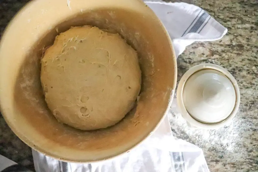 sourdough einkorn bread rising in a bowl