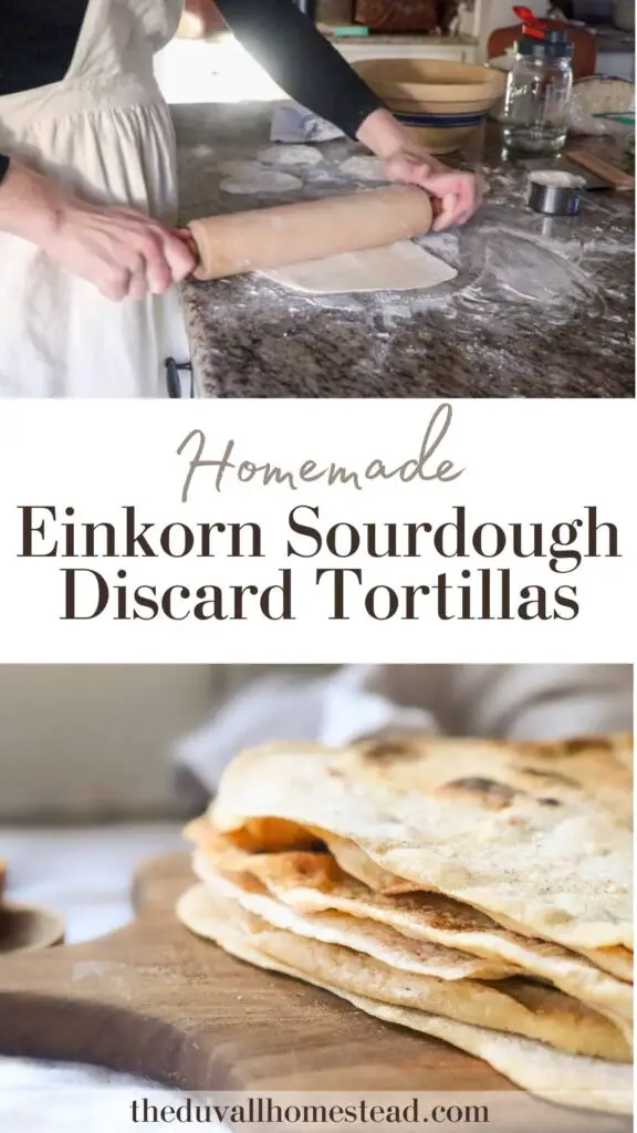These einkorn sourdough tortillas are a healthy and delicious addition to taco night! Whip them up with some sourdough discard for an easy homemade tortilla that tastes way better than store-bought.