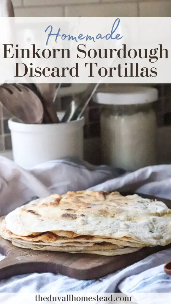 These einkorn sourdough discard tortillas are a delicious way to use up leftover sourdough discard! Easy to make and way better than store-bought, you'll want these for every taco night!