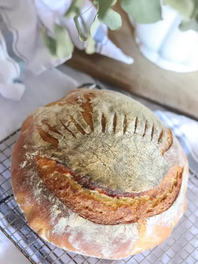 No-Knead Sourdough Einkorn Bread