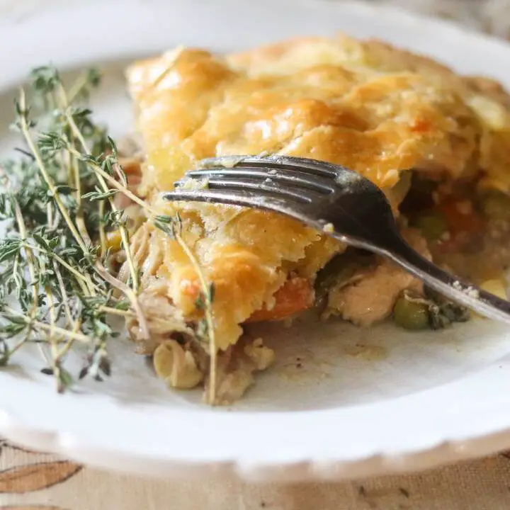 A slice of sourdough chicken pot pie on a white plate with a sprig of thyme.