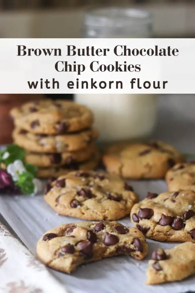 These einkorn brown butter chocolate chip cookies are crispy on the outside and gooey on the inside. Made with einkorn flour, they are a healthier than your average dessert. For an easy, delicious dessert that the whole family will love, you have to try these brown butter chocolate chip cookies!