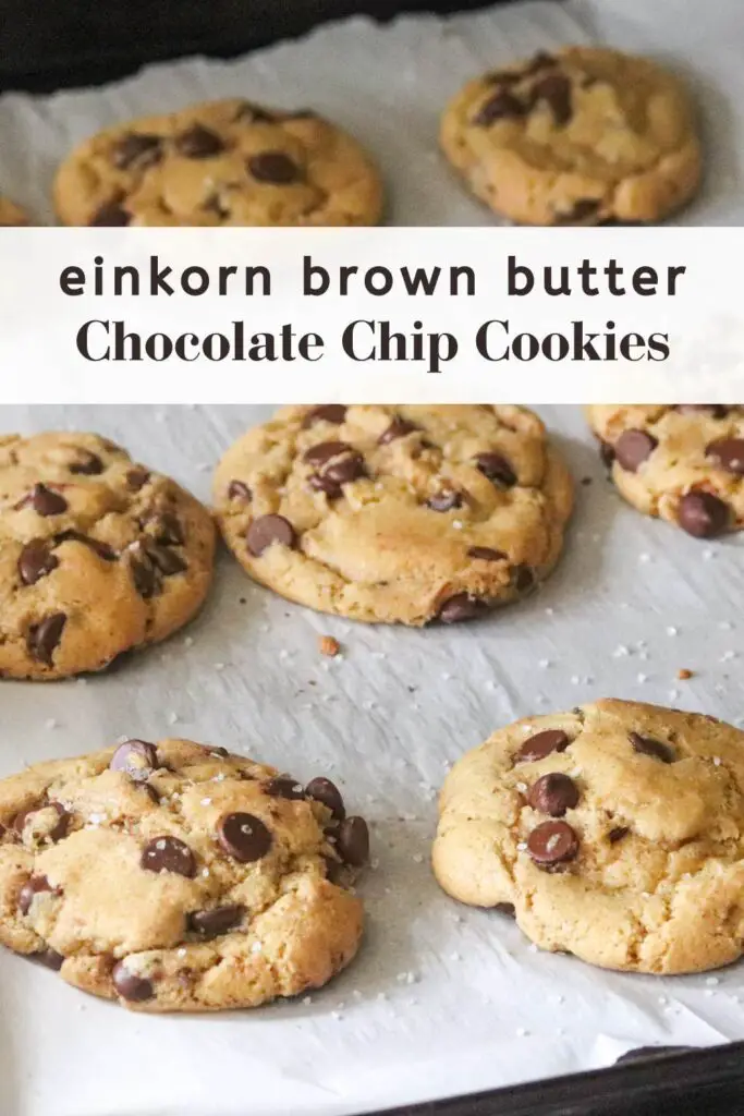 These einkorn brown butter chocolate chip cookies are crispy on the outside and gooey on the inside. Made with einkorn flour, they are a healthier than your average dessert. For an easy, delicious dessert that the whole family will love, you have to try these brown butter chocolate chip cookies!