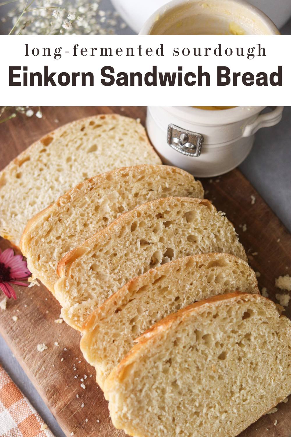 einkorn-sourdough-sandwich-bread-the-duvall-homestead