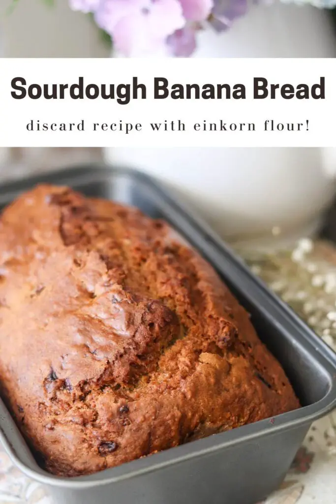 This einkorn sourdough banana bread is moist and delicious! Easy to make and packed with nutritious einkorn flour and gut-healthy sourdough discard, this is a great snack or breakfast for the whole family.