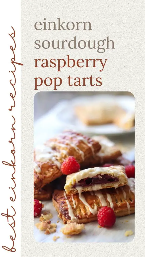 These homemade einkorn sourdough pop tarts are a delicious treat for breakfast, snacks, or dessert! Filled with homemade raspberry jam and baked with einkorn flour and sourdough starter, they are a healthier option that are utterly delicious.