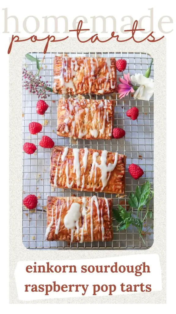 These homemade einkorn sourdough pop tarts are a delicious treat for breakfast, snacks, or dessert! Filled with homemade raspberry jam and baked with einkorn flour and sourdough starter, they are a healthier option that are utterly delicious. 
