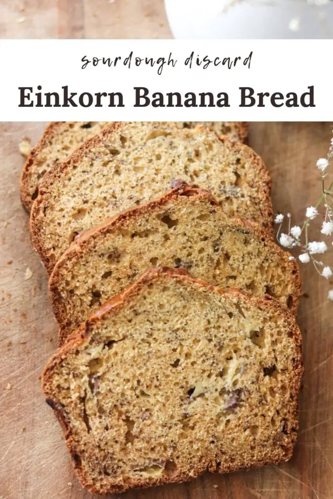 This einkorn sourdough banana bread is moist and delicious! Easy to make and packed with nutritious einkorn flour and gut-healthy sourdough discard, this is a great snack or breakfast for the whole family. 
