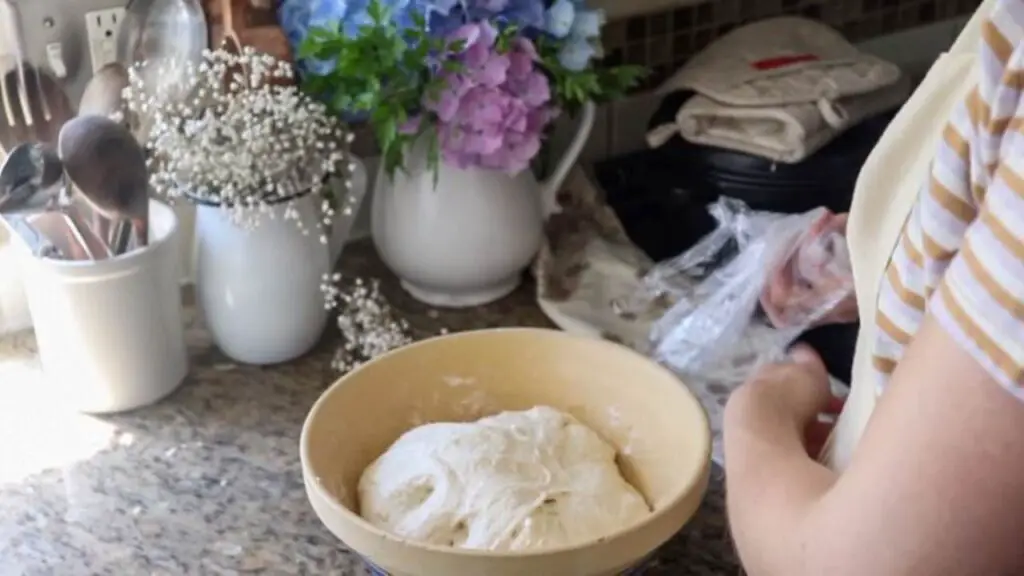 A ball of dough in a bowl rising.