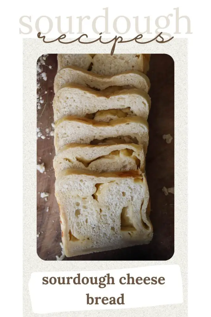 Sourdough cheese bread is the perfect loaf to take to an event with friends or family. The warm, decadent notes of cheese mixed with tangy, chewy sourdough create a delicious sandwich bread that will keep you wanting more.