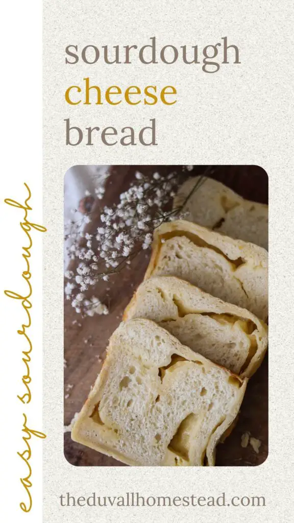 Sourdough cheese bread is the perfect loaf to take to an event with friends or family. The warm, decadent notes of cheese mixed with tangy, chewy sourdough create a delicious sandwich bread that will keep you wanting more.