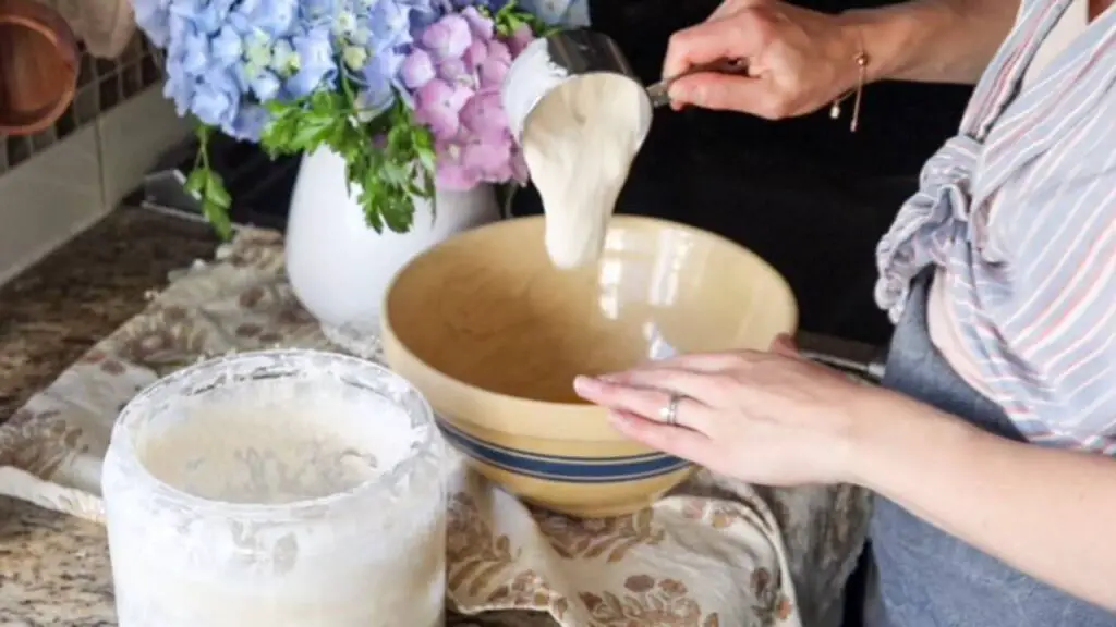 Pouring sourdough starter into a mixing bowl.