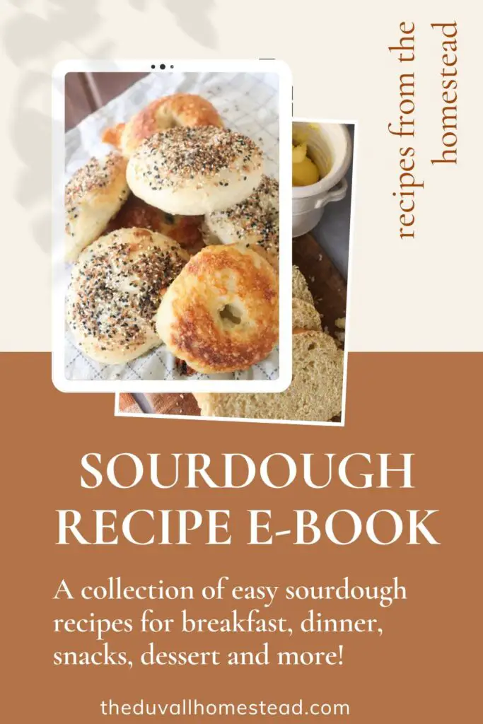 Keep all of your sourdough recipes in one place! This Duvall Homestead sourdough e-book has 30+ sourdough and einkorn recipes for breakfast, dinner, snacks, dessert, and more. Perfect for beginners and seasoned sourdough bakers, you'll love the gut-healthy, fun, and delicious recipes in this downloadable ebook. Print it out or save it to your devices for convenient baking!
