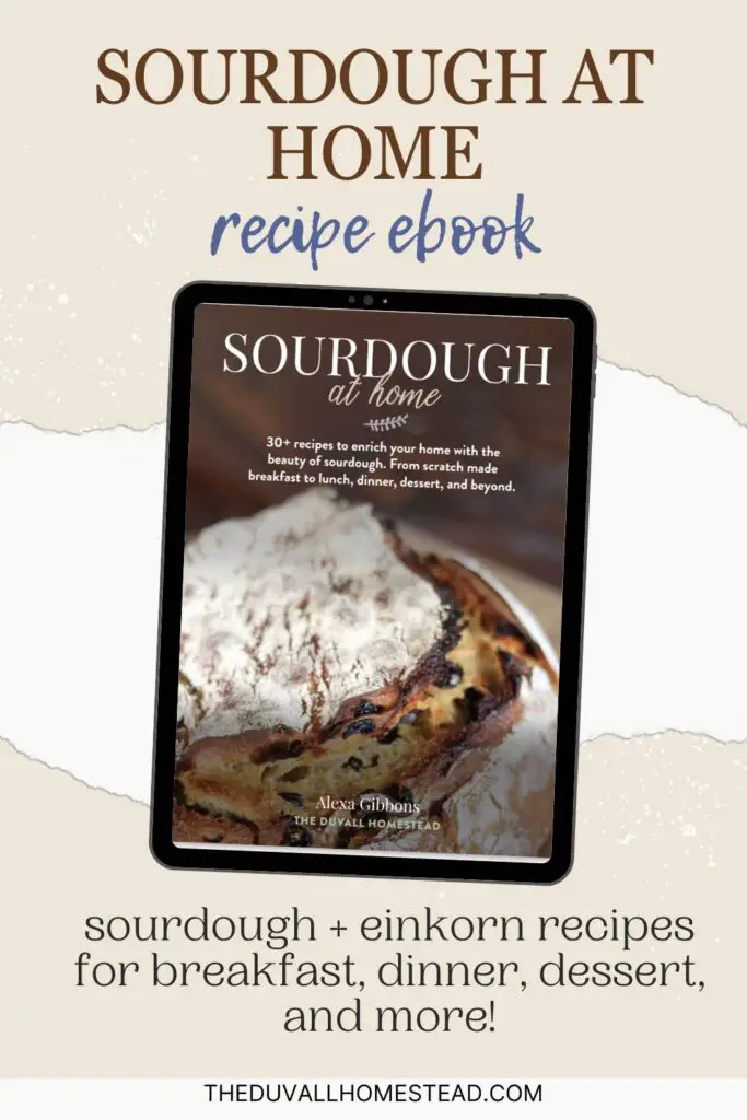 Keep all of your sourdough recipes in one place! This Duvall Homestead sourdough e-book has 30+ sourdough and einkorn recipes for breakfast, dinner, snacks, dessert, and more. Perfect for beginners and seasoned sourdough bakers, you'll love the gut-healthy, fun, and delicious recipes in this downloadable ebook. Print it out or save it to your devices for convenient baking!