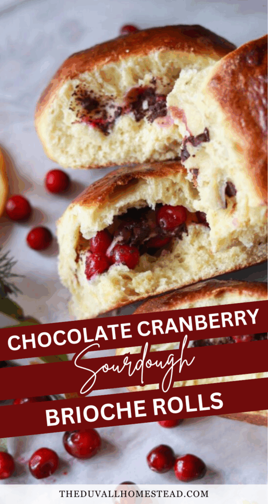 These chocolate cranberry sourdough brioche rolls are soft, buttery, and filled with rich chocolate and tart cranberries—perfect for cozy holiday breakfasts or Christmas brunch. If you’ve been wanting to make chocolate cranberry sourdough brioche bread rolls from scratch, this recipe walks you through each step so your sweet rolls turn out light, fluffy, and full of flavor. It’s the perfect blend of tangy sourdough, festive cranberries, and melty chocolate. Try these artisan sourdough brioche rolls for your next holiday baking morning.