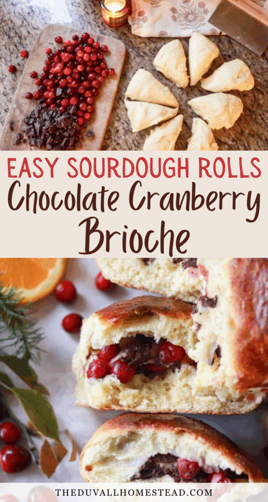 These chocolate cranberry sourdough brioche rolls are soft, buttery, and filled with rich chocolate and tart cranberries—perfect for cozy holiday breakfasts or Christmas brunch. If you’ve been wanting to make chocolate cranberry sourdough brioche bread rolls from scratch, this recipe walks you through each step so your sweet rolls turn out light, fluffy, and full of flavor. It’s the perfect blend of tangy sourdough, festive cranberries, and melty chocolate. Try these artisan sourdough brioche rolls for your next holiday baking morning.