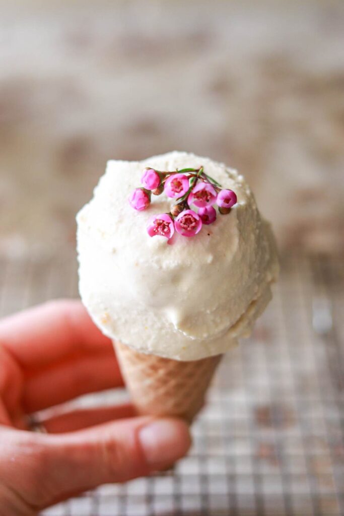 Holding a vanilla ice cream cone with pink flowers on top.