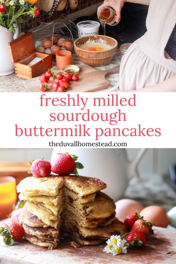 Freshly milled sourdough buttermilk pancakes are tangy, fluffy, and rich with nutty whole grain flavor. Made with sourdough starter, buttermilk, and naturally sweetened with honey, these become a quick and easy breakfast staple in no time.
