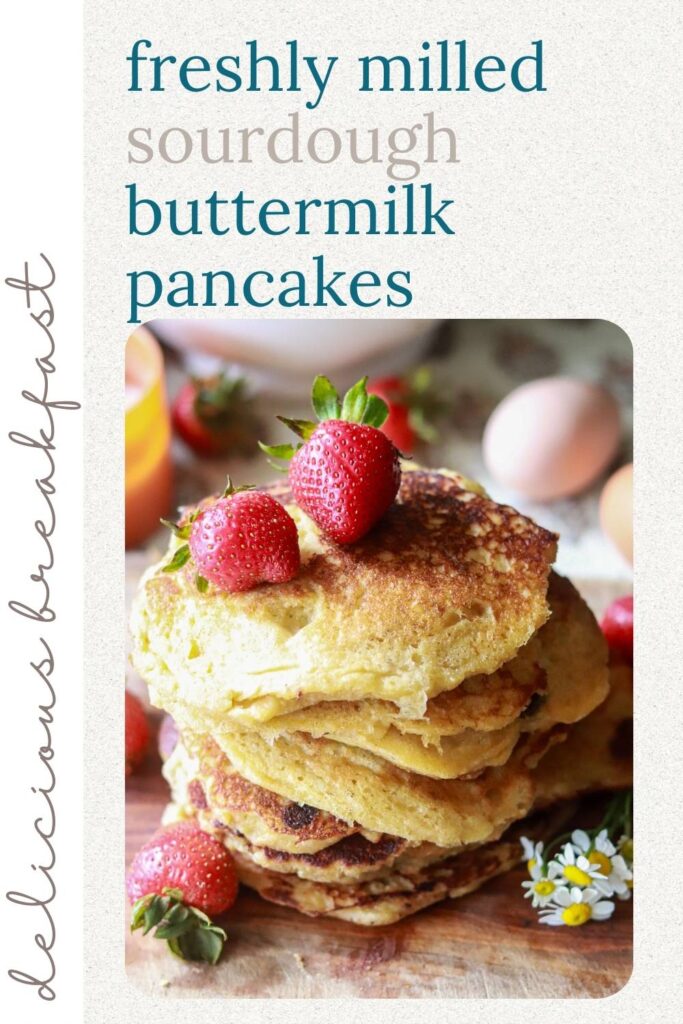 Freshly milled sourdough buttermilk pancakes are tangy, fluffy, and rich with nutty whole grain flavor. Made with sourdough starter, buttermilk, and naturally sweetened with honey, these become a quick and easy breakfast staple in no time.