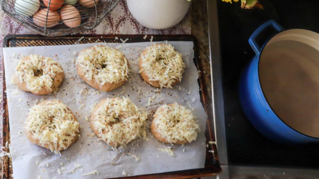 freshly milled sourdough bagels put on a baking sheet with parchment paper and topped with freshly shredded cheese.