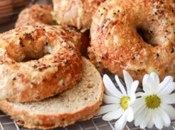 closeup of homemade freshly milled sourdough bagels cut in half with everything bagel seasoning sprinkled on top.