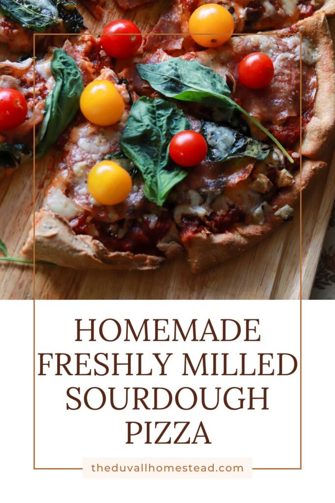 Overhead shot of homemade sourdough pizza with golden crust, yellow and red cherry tomatoes, and basil leaves.