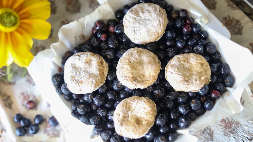 Unbaked biscuit dough rounds placed on top of fresh blueberries in a baking dish
