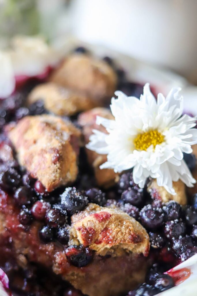 White flower on top of blueberry cobbler with golden biscuit topping