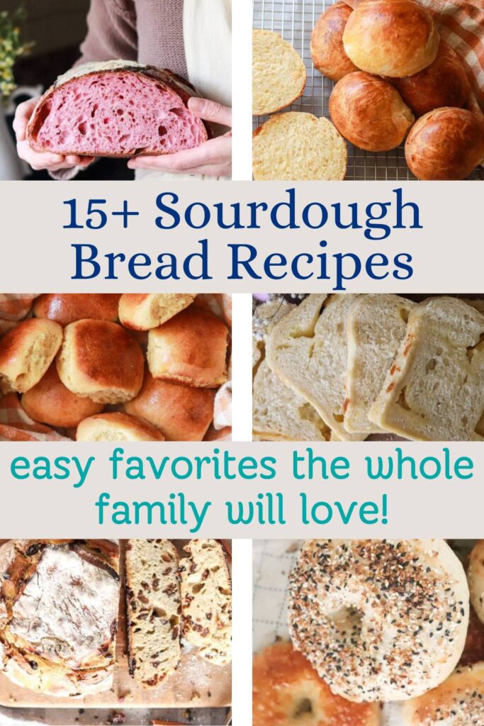 Looking for the best sourdough bread recipes to bake at home? This roundup has 19 cozy and delicious homemade sourdough recipes, including sandwich bread, dinner rolls, and rustic loaves made with einkorn, whole wheat, and sourdough starter. Whether you're a beginner or seasoned baker, these from-scratch recipes are perfect for your homestead kitchen and weekly meal prep.