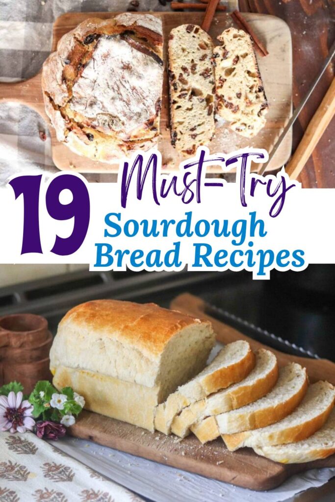 Looking for the best sourdough bread recipes to bake at home? This roundup has 19 cozy and delicious homemade sourdough recipes, including sandwich bread, dinner rolls, and rustic loaves made with einkorn, whole wheat, and sourdough starter. Whether you're a beginner or seasoned baker, these from-scratch recipes are perfect for your homestead kitchen and weekly meal prep.