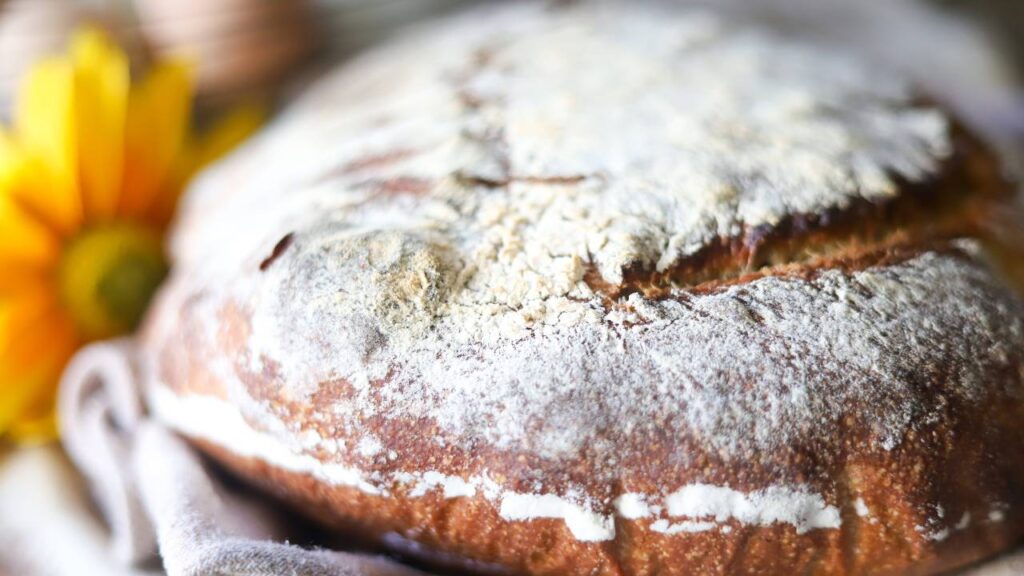 Freshly baked whole grain sourdough boule with flour-dusted crust